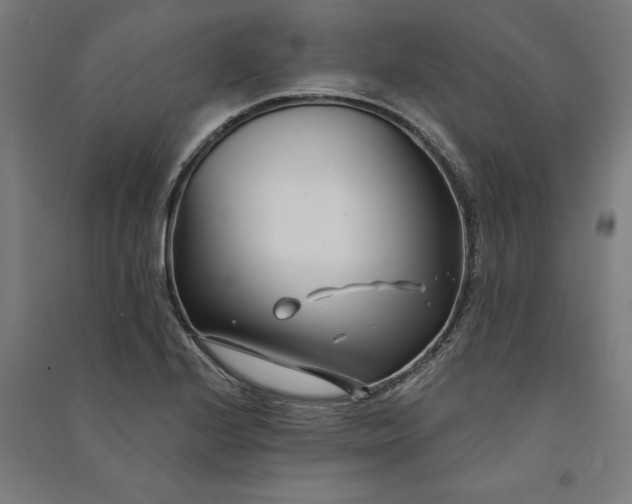 X0000091071224200708201402