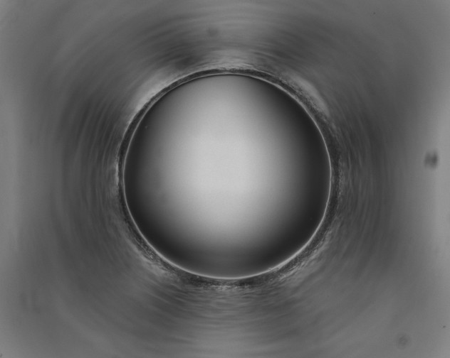 X0000091071226200708201402