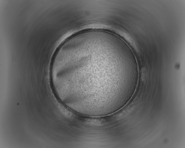 X0000091071229200708201402