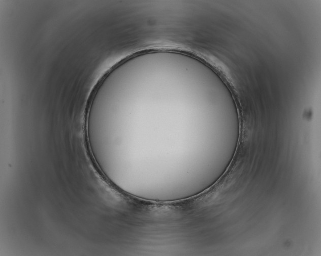 X0000091071231200708201402