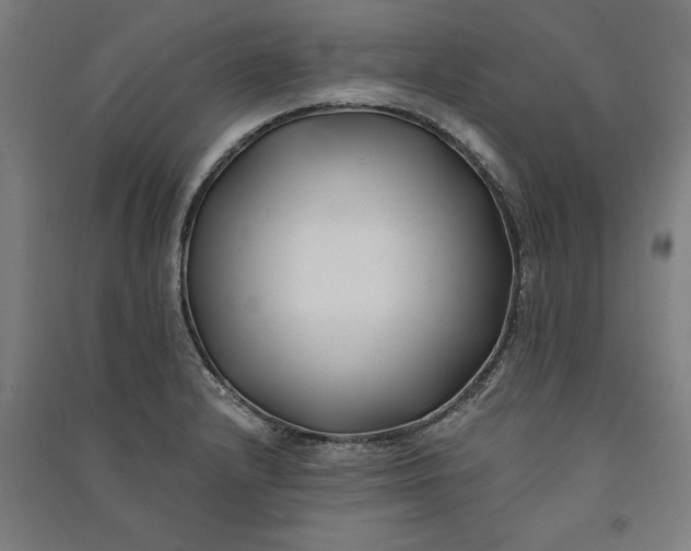 X0000091071232200708201402