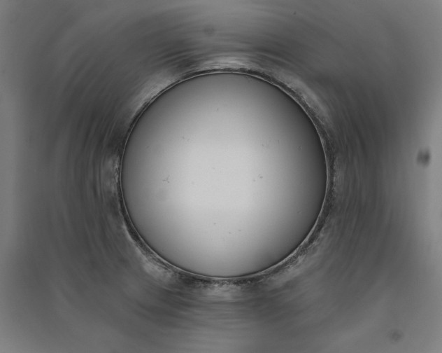 X0000091071233200708201402