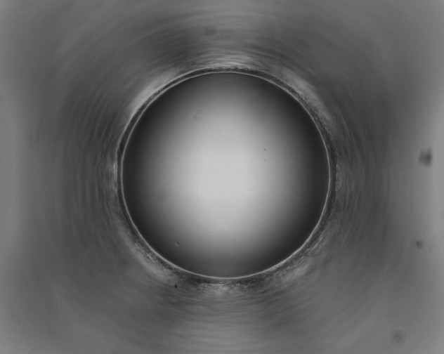 X0000091071234200708201402