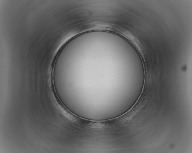 X0000091071235200708201402