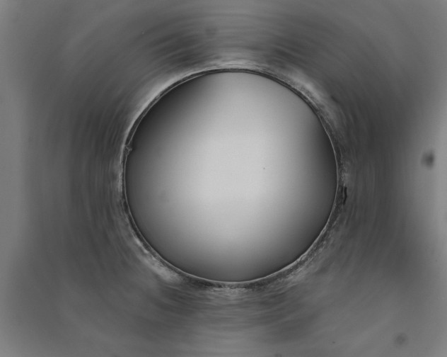 X0000091071236200708201402