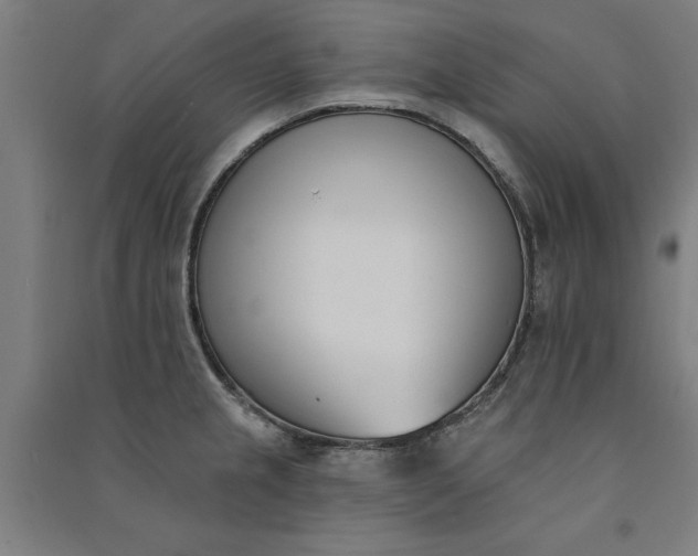 X0000091071237200708201402