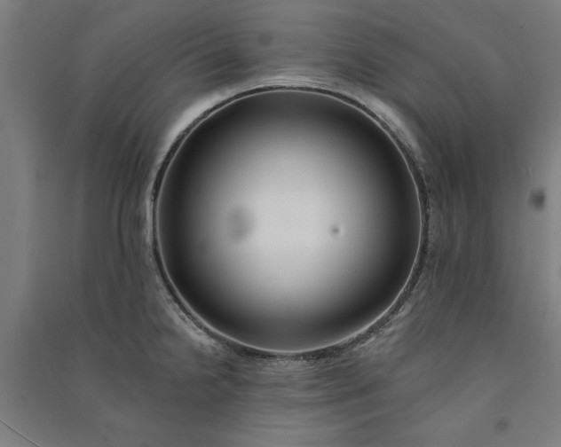 X0000091071238200708201402