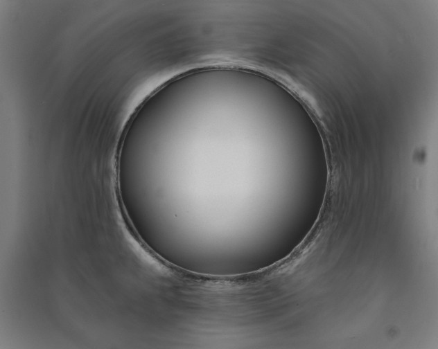 X0000091071239200708201402