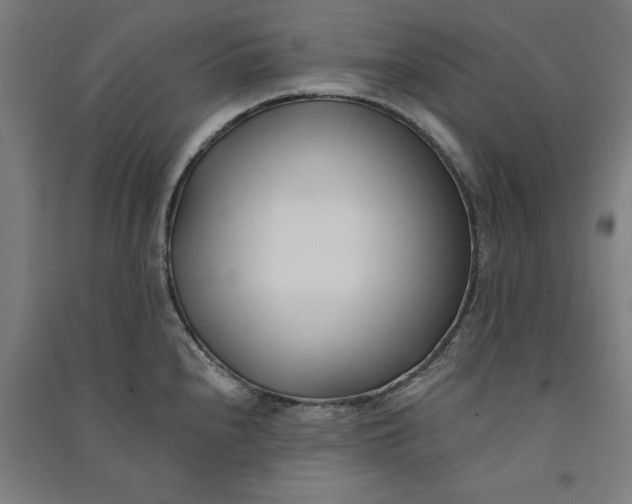 X0000091071240200708201402