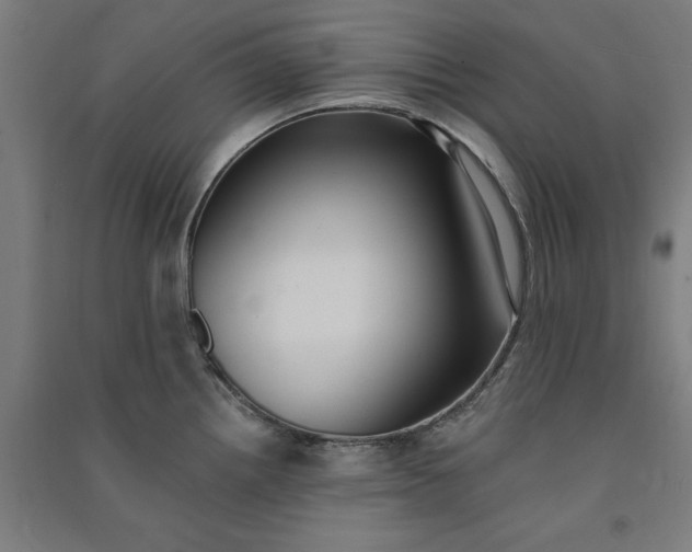 X0000091071242200708201402