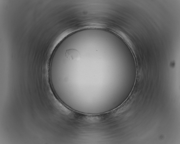 X0000091071243200708201402