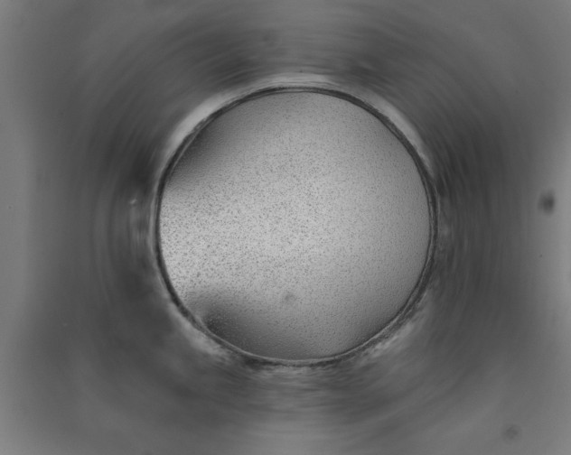 X0000091071245200708201402