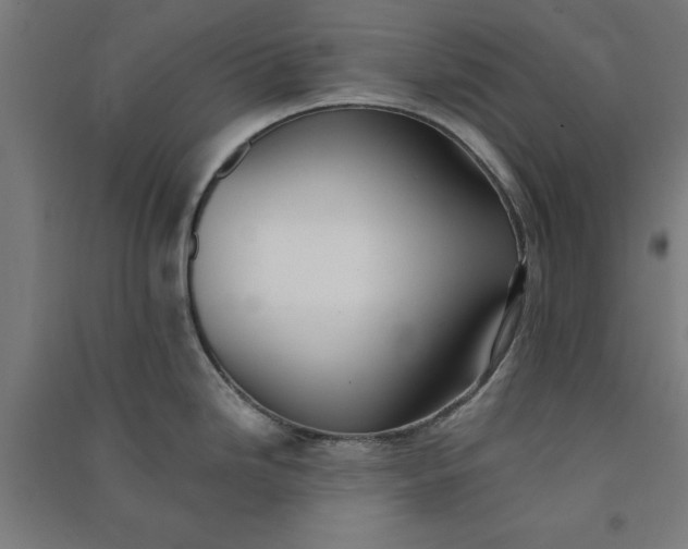 X0000091071246200708201402