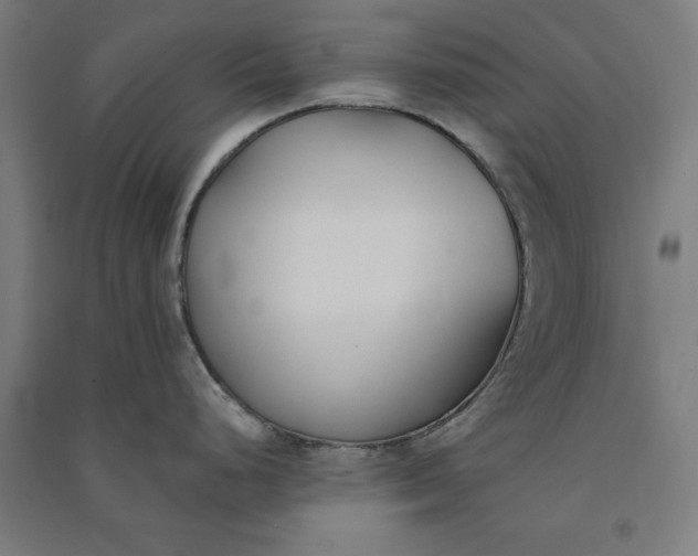 X0000091071248200708201402