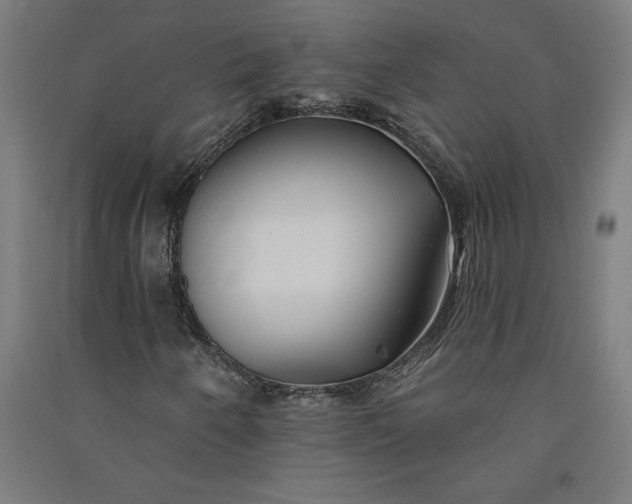 X0000091071250200708201401