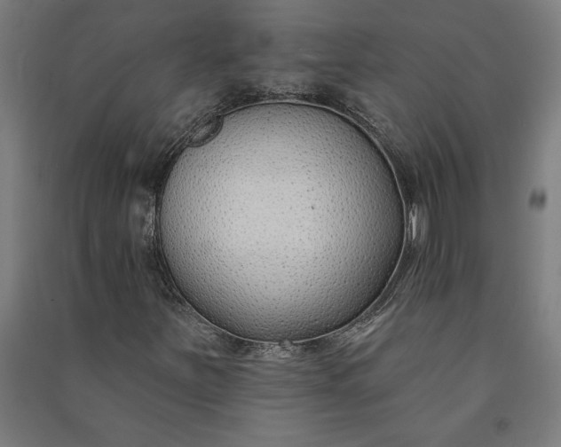 X0000091071251200708201401