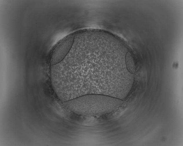 X0000091071255200708201401