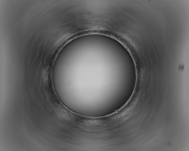 X0000091071257200708201401