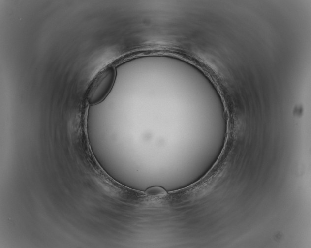 X0000091071259200708201401