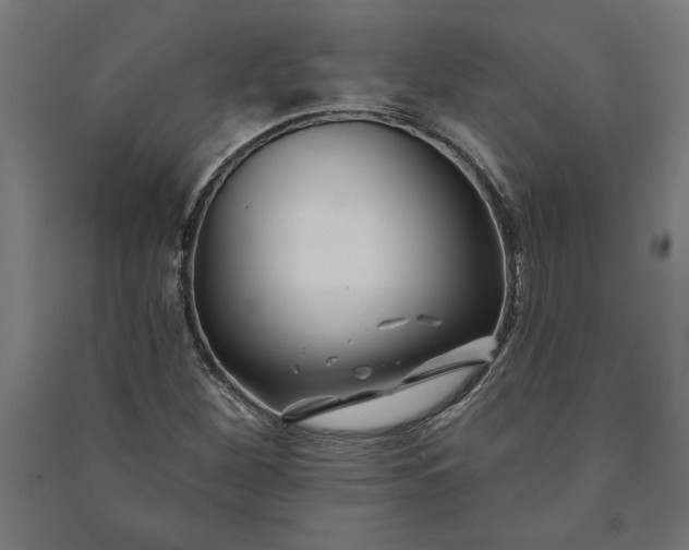 X0000091071260200708201401