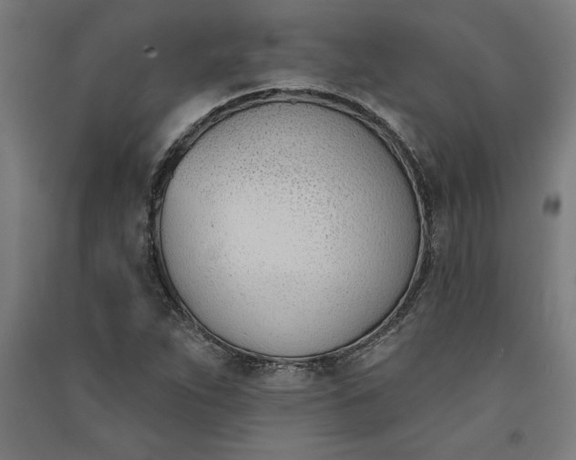 X0000091071263200708201401