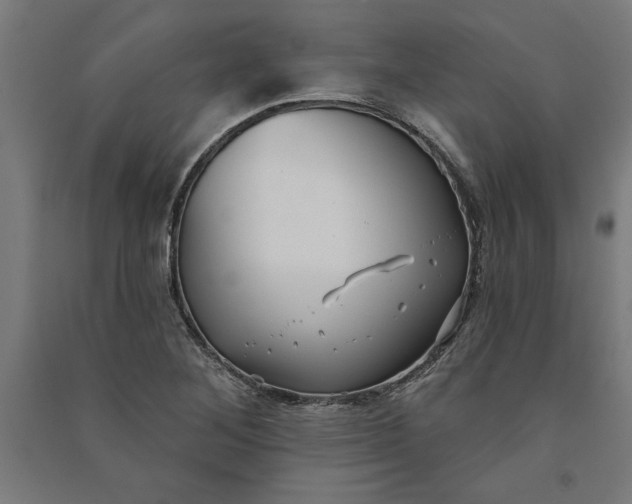 X0000091071268200708201401