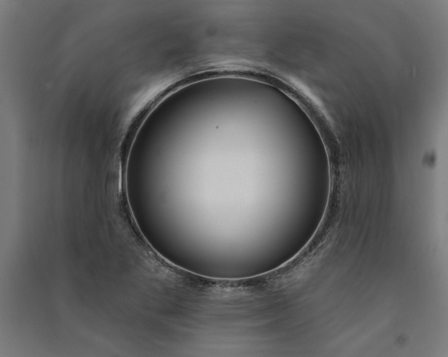 X0000091071269200708201401