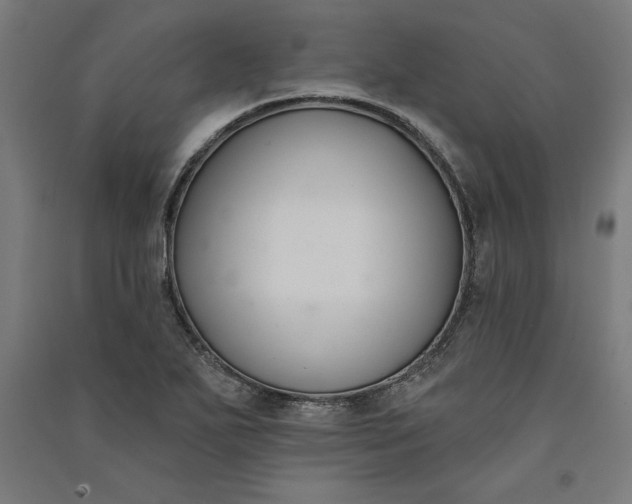 X0000091071271200708201401