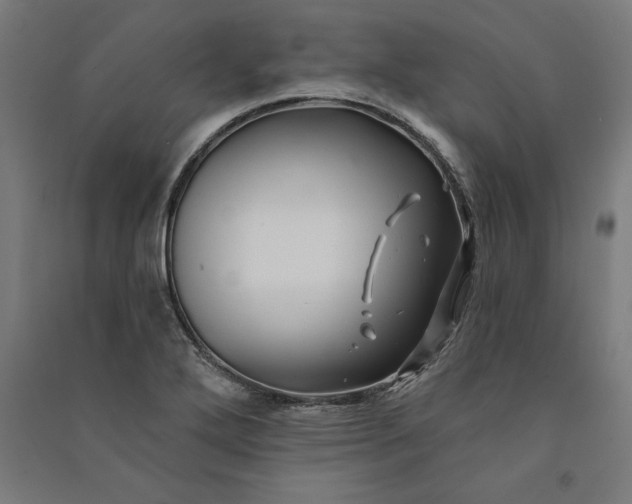 X0000091071272200708201401