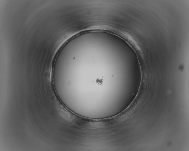 X0000091071276200708201401