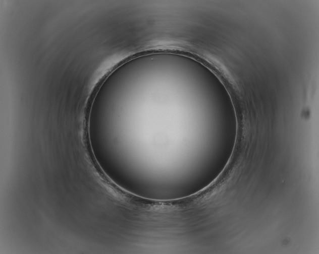 X0000091071277200708201401