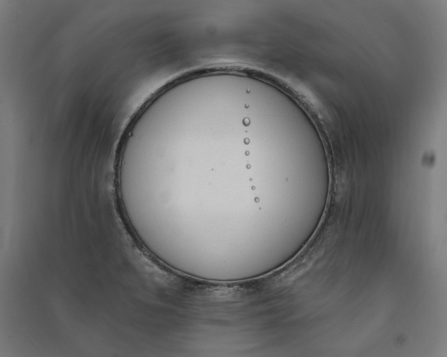 X0000091071279200708201401