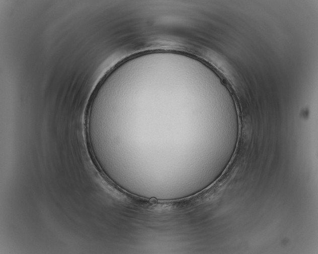 X0000091071283200708201401