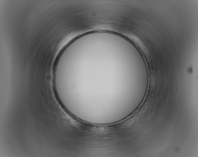 X0000091071286200708201401