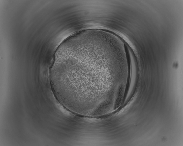 X0000091071289200708201401