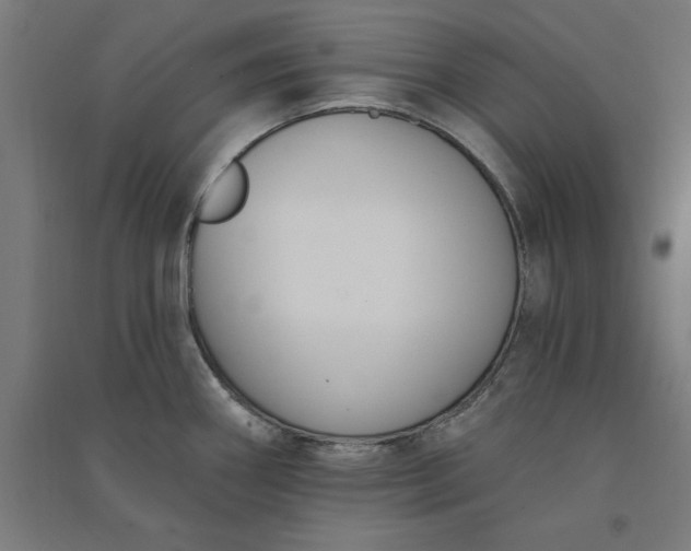 X0000091071290200708201401