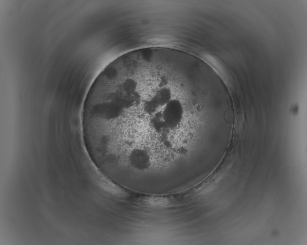 X0000091071291200708201401