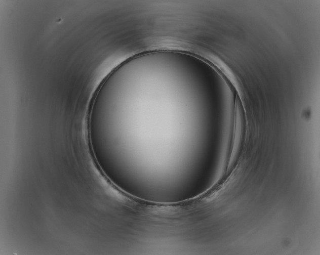 X0000091071293200708201400