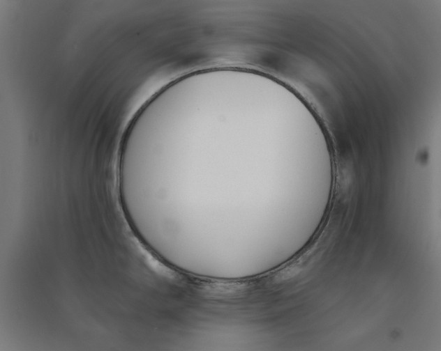 X0000091071294200708201400