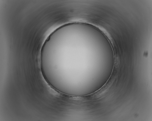 X0000091071295200708201400