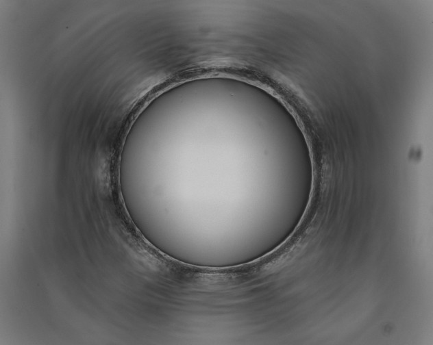 X0000091071305200708201400