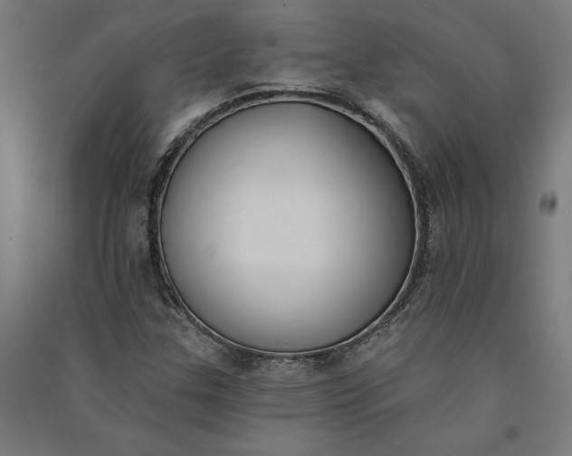 X0000091071307200708201400