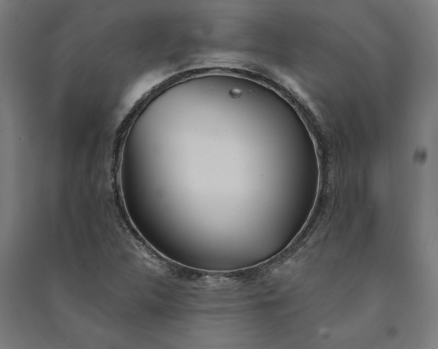 X0000091071312200708201400