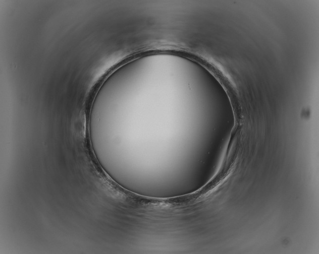 X0000091071317200708201400