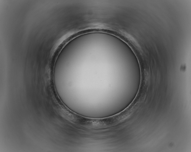 X0000091071318200708201400