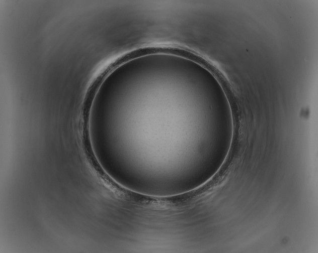 X0000091071319200708201400