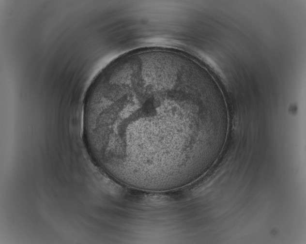 X0000091071323200708201400