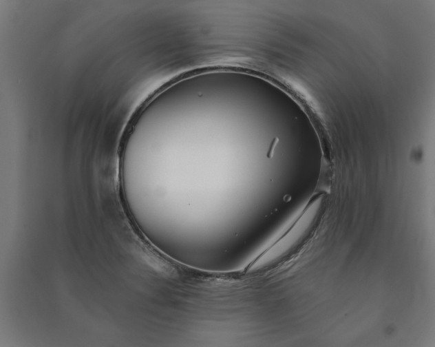 X0000091071324200708201400