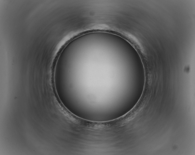 X0000091071326200708201400