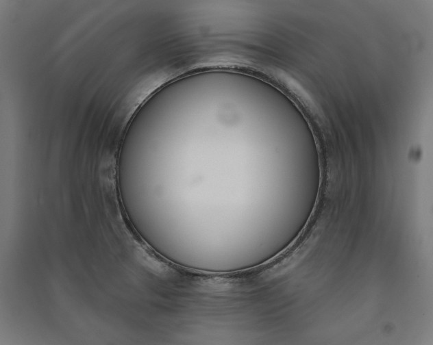 X0000091071329200708201400